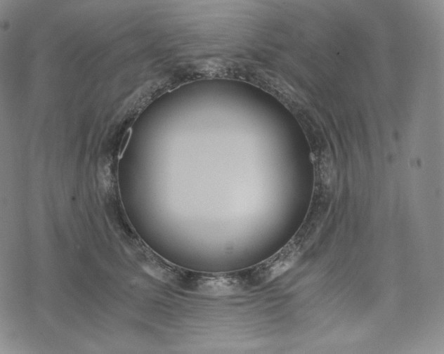 X0000076370611200610161052