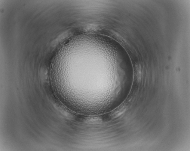 X0000076370619200610161051