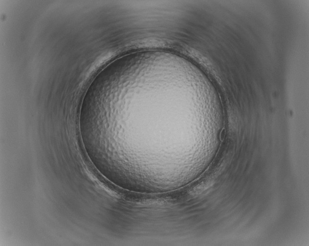 X0000076370625200610161051