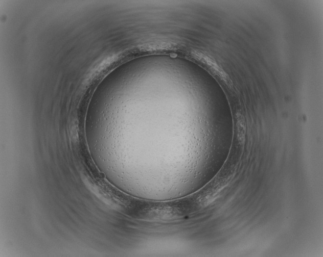 X0000076370631200610161051