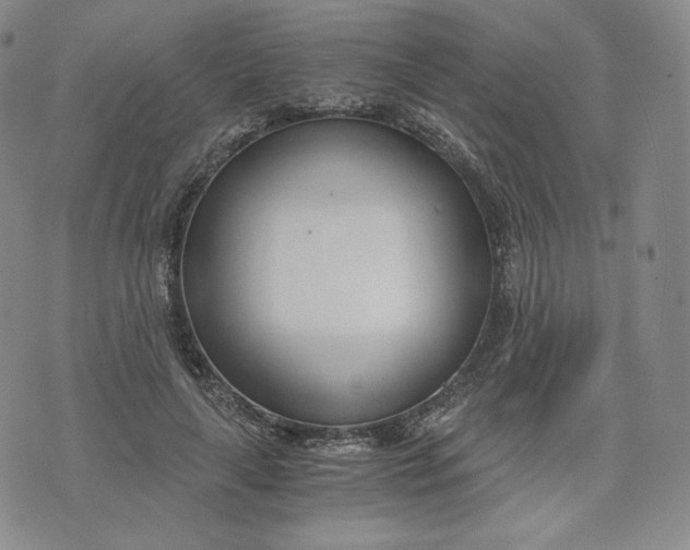 X0000076370643200610161051