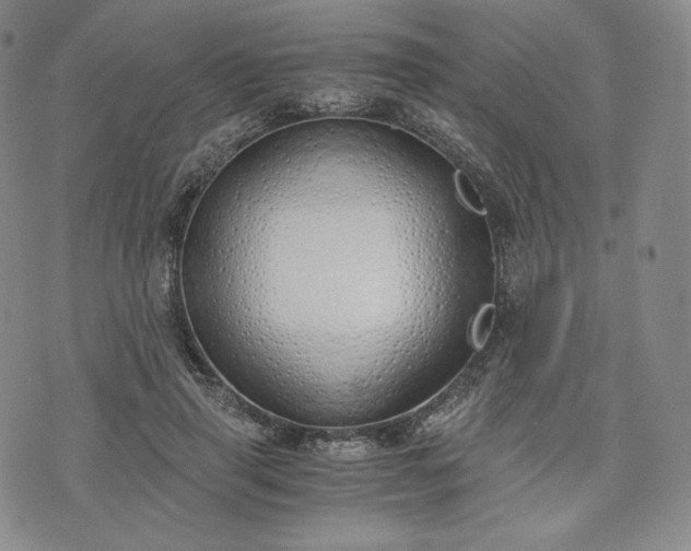 X0000076370645200610161051