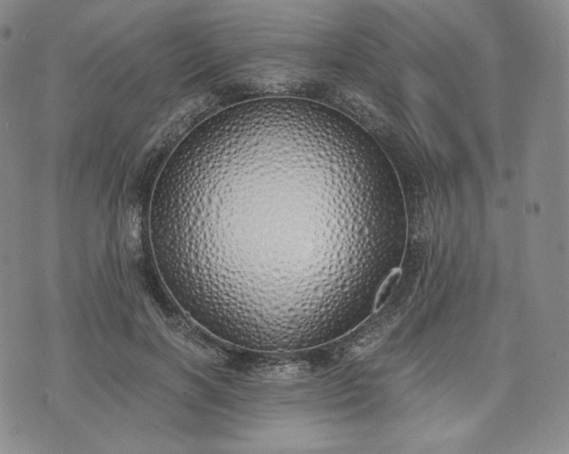 X0000076370646200610161051