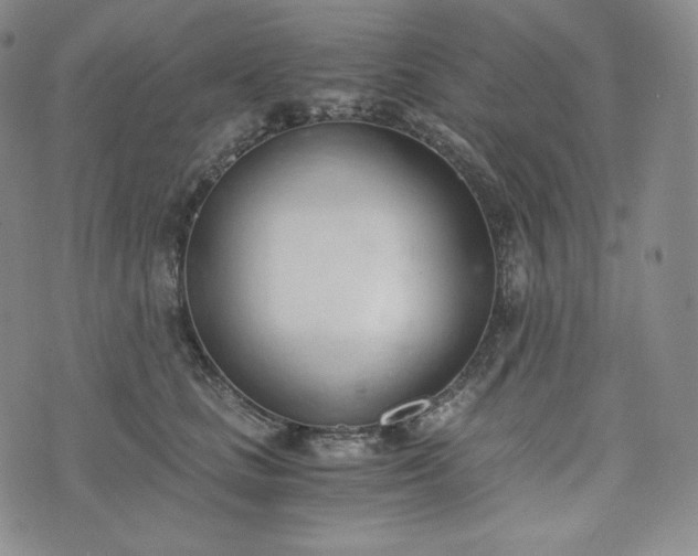 X0000076370661200610161051