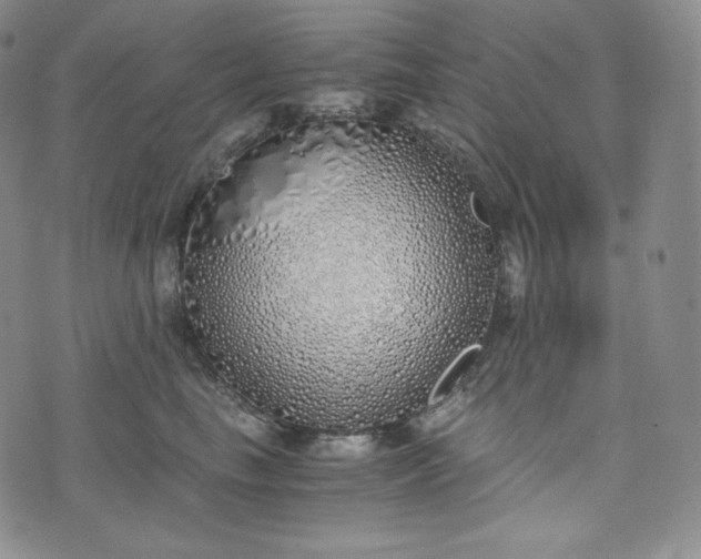 X0000076370665200610161051