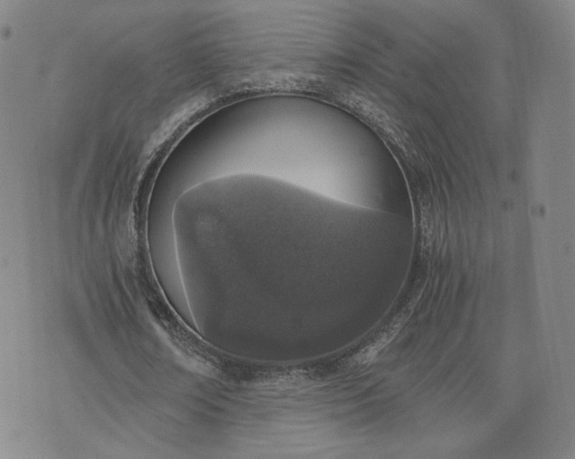 X0000076370674200610161051