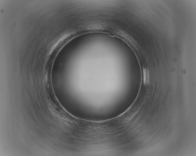 X0000076370723200610161049