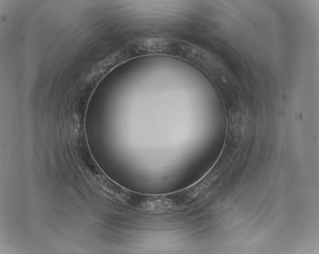 X0000076370752200610161050