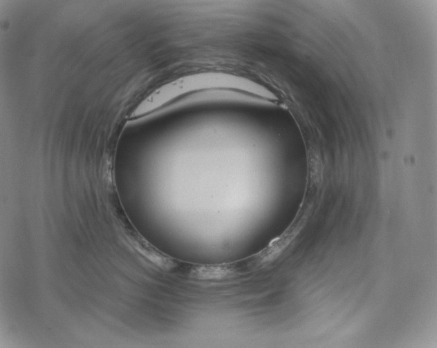 X0000076370766200610161050