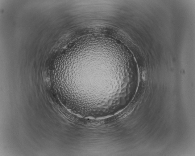 X0000076370771200610161049