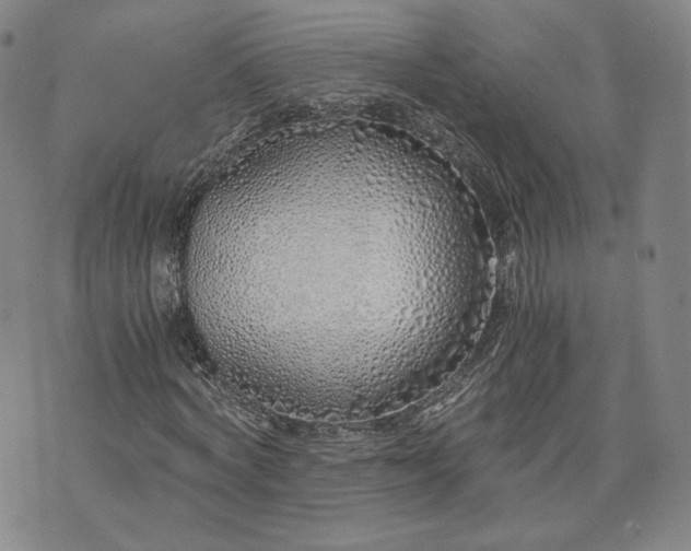 X0000076370772200610161049