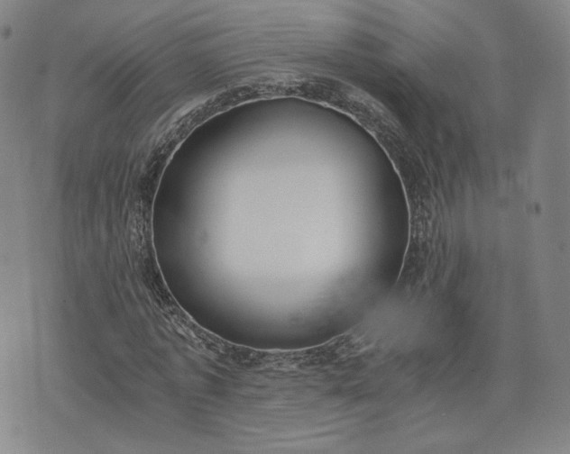 X0000076370773200610161049