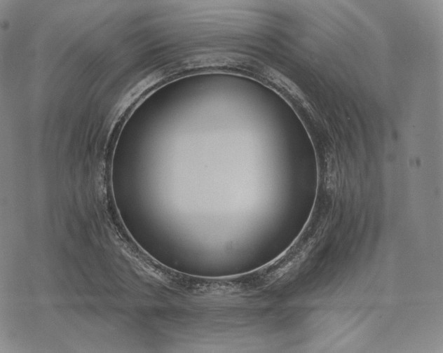 X0000076370786200610161049