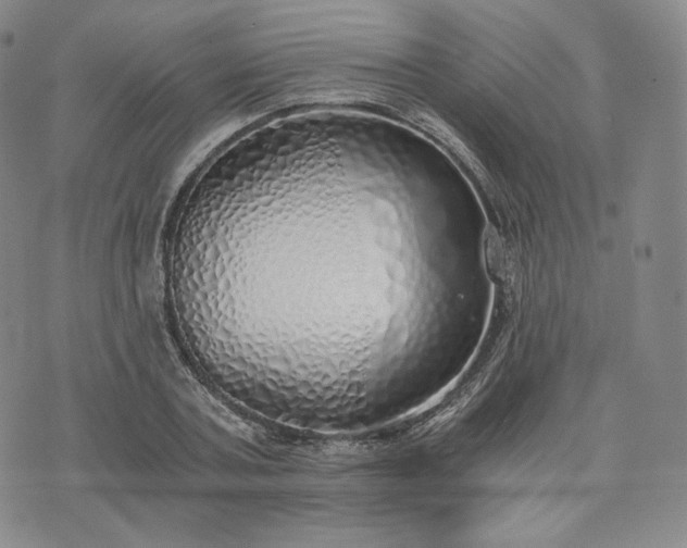 X0000076370787200610161049