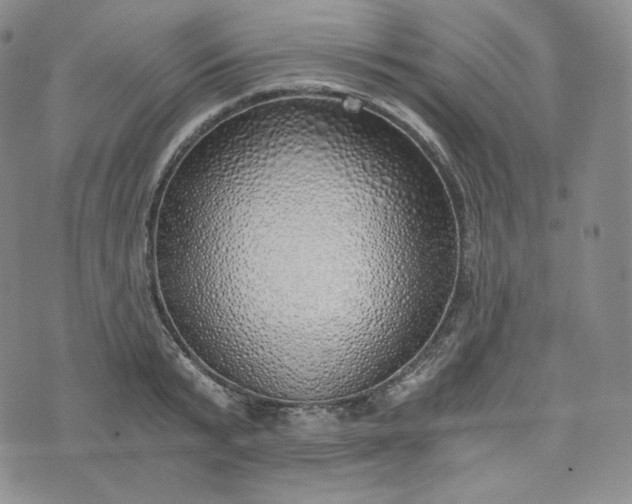 X0000076370799200610161049