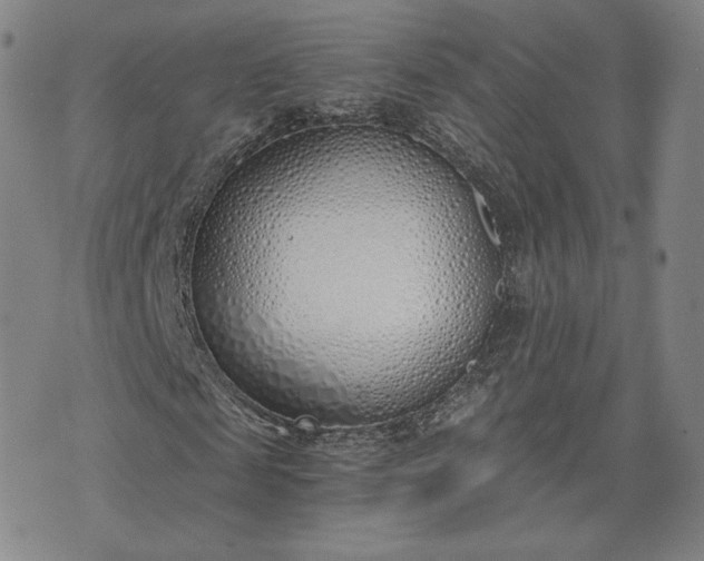 X0000076370817200610161047