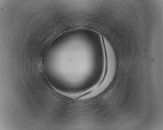 X0000076370818200610161047