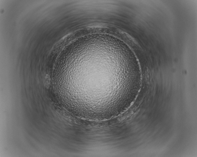 X0000076370821200610161048