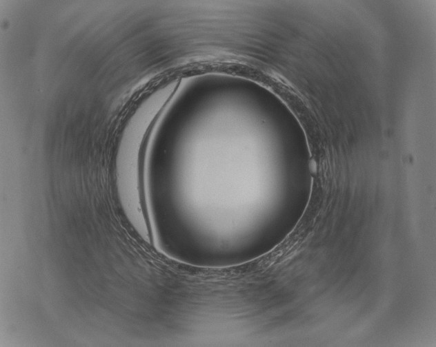 X0000076370822200610161048