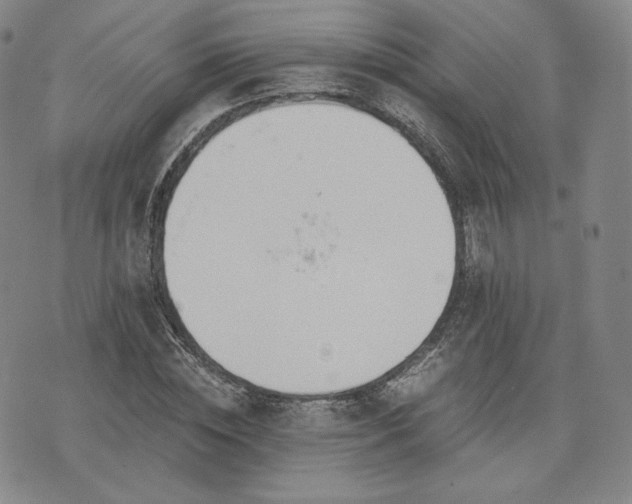 X0000076370828200610161048