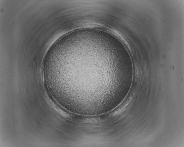 X0000076370843200610161048