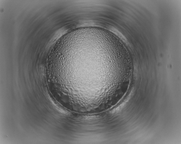 X0000076370849200610161048