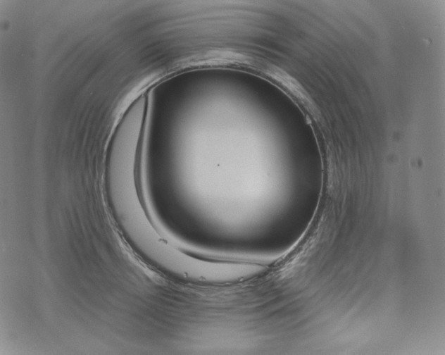 X0000076370850200610161048