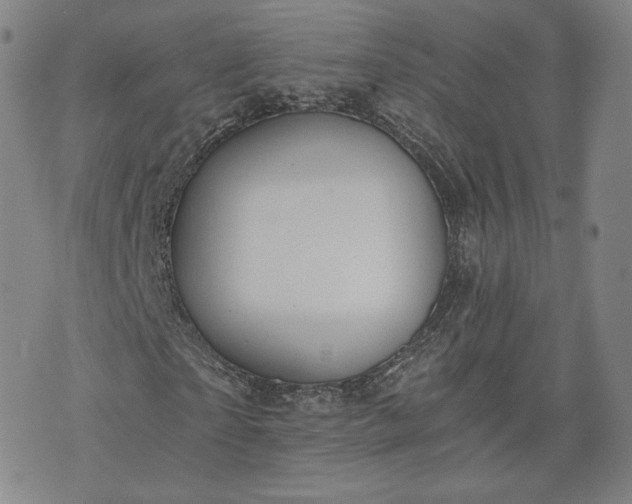 X0000076370865200610161047
