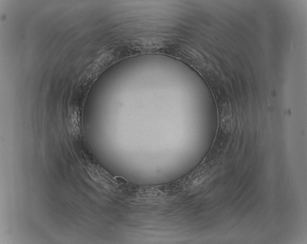 X0000076370866200610161047