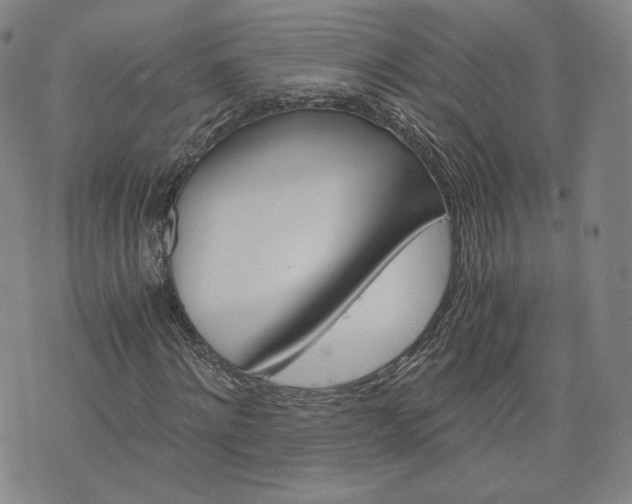 X0000076370868200610161047