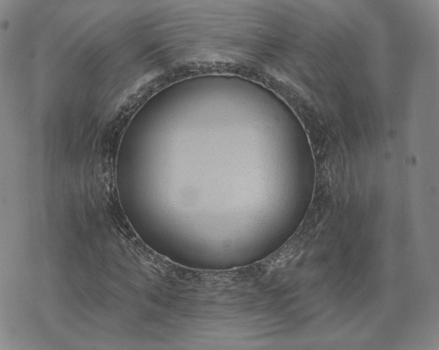 X0000076370870200610161047