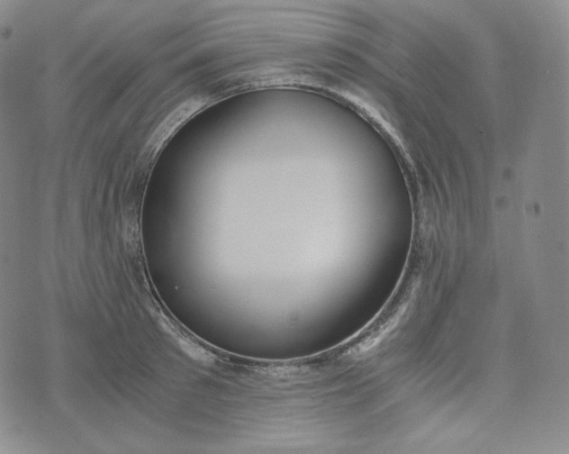 X0000076370897200610161047