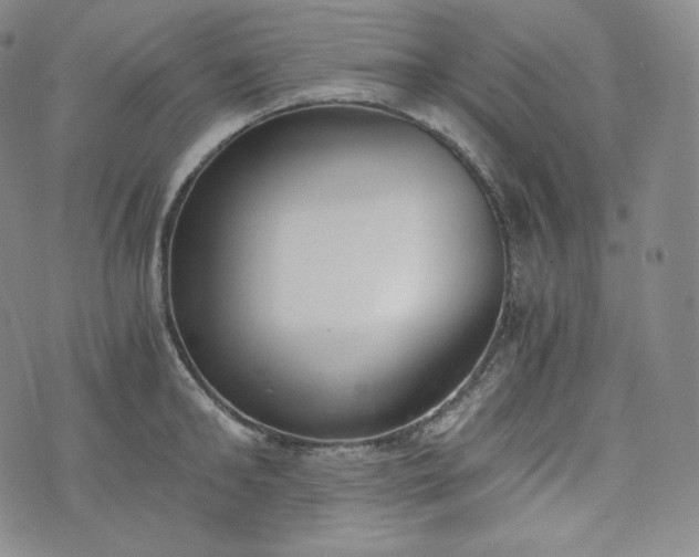X0000076370902200610161047