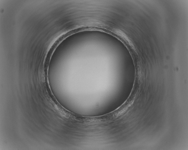 X0000076370924200610161046