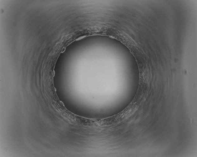 X0000076370961200610161046