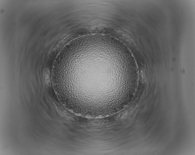 X0000076370963200610161046