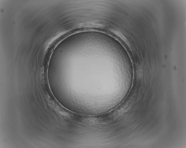 X0000076370971200610161046