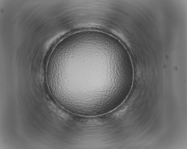 X0000076370979200610161046