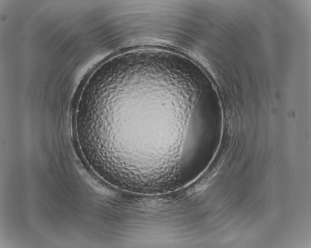 X0000076370987200610161045