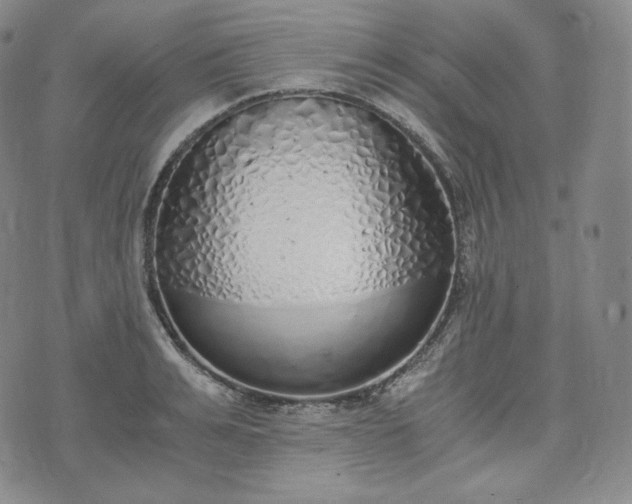 X0000076370991200610161045