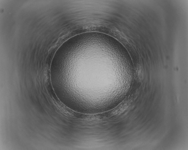X0000076371012200610161044