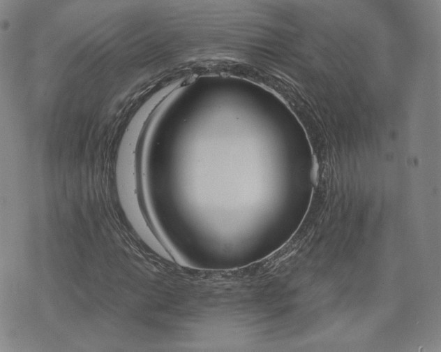 X0000076371014200610161044