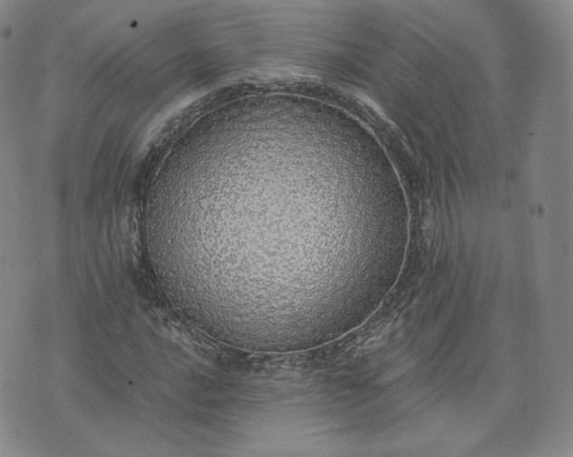 X0000076371016200610161044