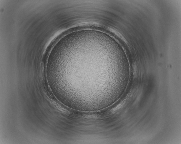 X0000076371021200610161045