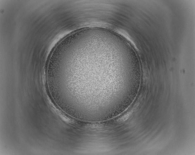 X0000076371040200610161045