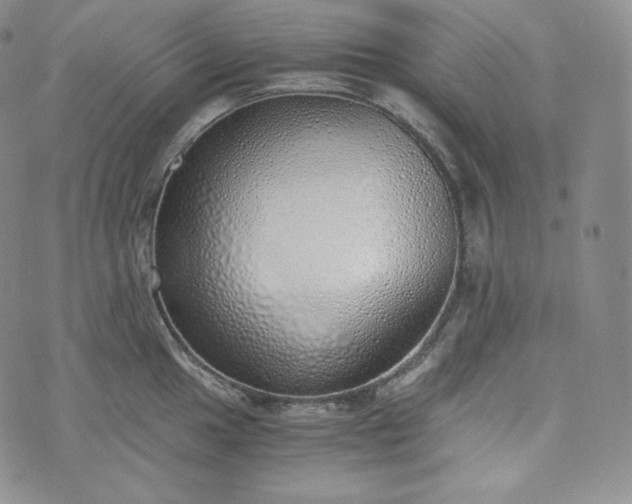 X0000076371049200610161045