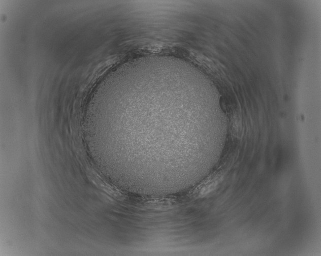X0000076371105200610161043
