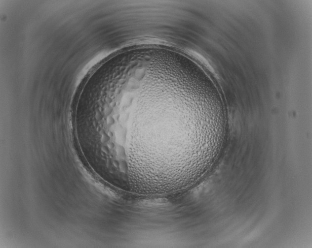 X0000076371133200610161043