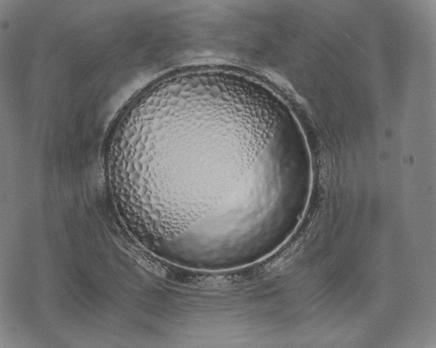 X0000076371167200610161043
