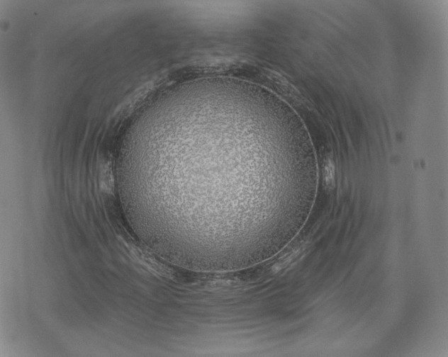 X0000076371204200610161041
